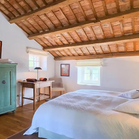 Cipresso * بوريتش