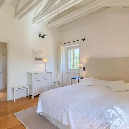 Cipresso بوريتش